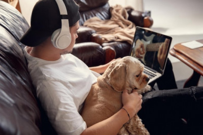 Keeping Fido Fit and Happy: The Latest in Smart Pet Technology